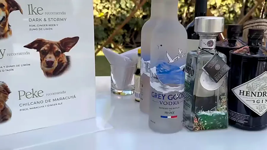Licores premium en la barra